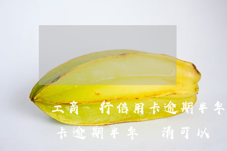 工商銀行信用卡逾期半年還清(工商銀行信用卡逾期半年還清可以嗎)