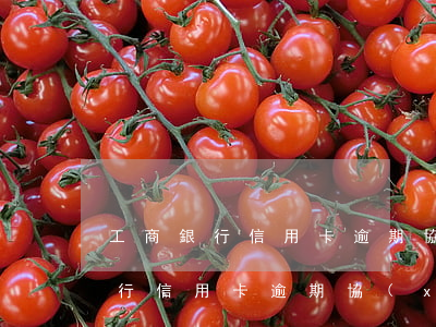 工商銀行信用卡逾期協(xié)商(工商銀行信用卡逾期協(xié)商減免政策)
