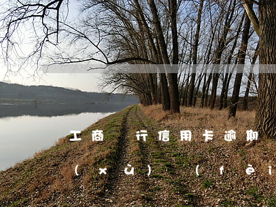 工商銀行信用卡逾期協(xié)商收手續(xù)費(fèi)-工商銀行信用卡逾期協(xié)商收手續(xù)費(fèi)嗎