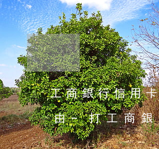 工商銀行信用卡逾期協(xié)商還款理由-打工商銀行信用卡協(xié)商還款