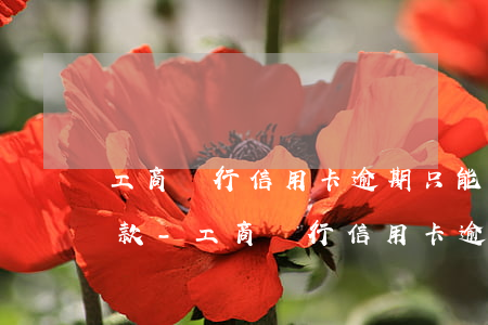 工商銀行信用卡逾期只能柜臺(tái)還款-工商銀行信用卡逾期只能柜臺(tái)還款嗎