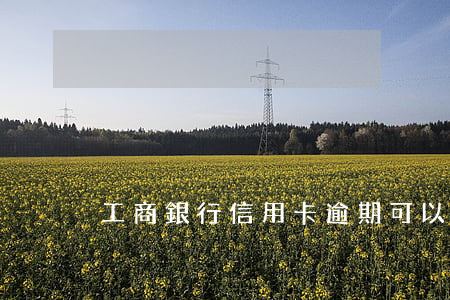 工商銀行信用卡逾期可以5年免息