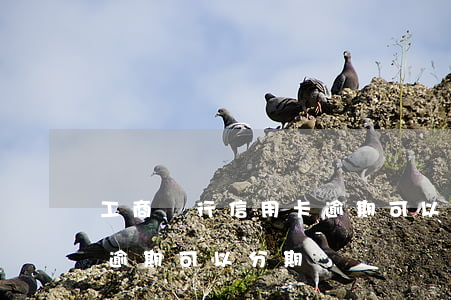 工商銀行信用卡逾期可以分期還款(銀行貸款逾期可以分期還嗎)