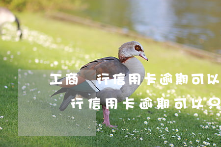 工商銀行信用卡逾期可以只還本金嗎?-工商銀行信用卡逾期可以只還本金嗎