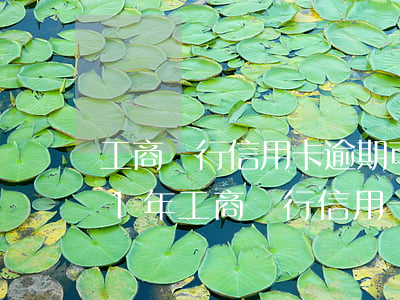 工商銀行信用卡逾期可以減免利息-2021年工商銀行信用卡逾期新政策