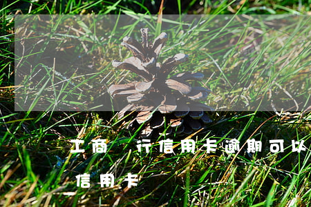 工商銀行信用卡逾期可以開(銀行有逾期能辦信用卡)