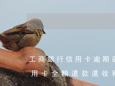 工商銀行信用卡逾期后全額還款(工商銀行信用卡 全額還款還收利息)