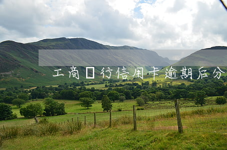 工商銀行信用卡逾期后分期付款