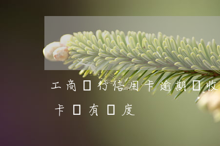 工商銀行信用卡逾期嗺收-工行逾期后信用卡沒有額度