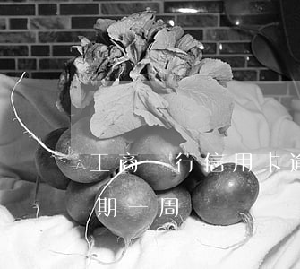 工商銀行信用卡逾期執行房貸-工行房貸逾期一周