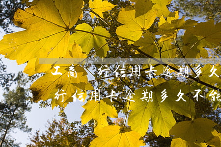 工商銀行信用卡逾期多久不能使用-工商銀行信用卡逾期多久不能使用了