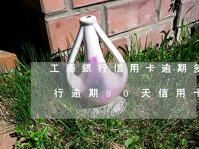 工商銀行信用卡逾期多久凍結(jié)(工行逾期90天信用卡解凍)