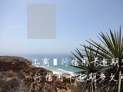 工商銀行信用卡逾期多久可以再辦-工商銀行信用卡逾期多久可以再辦卡