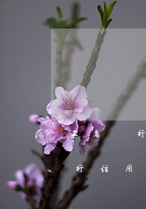 工商銀行信用卡逾期多久可以撤銷-工商銀行信用卡逾期多久可以撤銷申請
