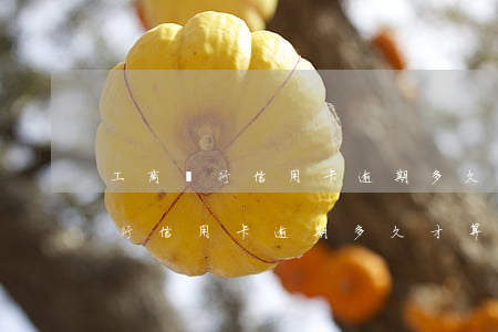 工商銀行信用卡逾期多久才算逾期-工商銀行信用卡逾期多久才算逾期了