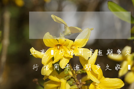 工商銀行信用卡逾期多久收滯納金-工商銀行信用卡逾期多久收滯納金啊