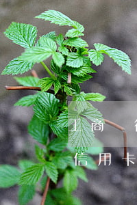 工商銀行信用卡逾期多久會去家里 工商銀行信用卡逾期多久會去家里催收