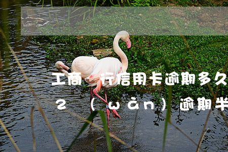 工商銀行信用卡逾期多久被黑(欠工行信用卡2萬(wàn)逾期半年了被公安機(jī)關(guān)立案)