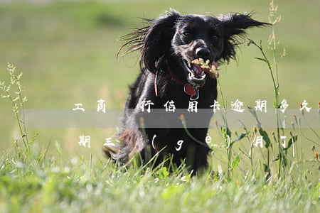 工商銀行信用卡逾期多久還不上 工商銀行逾期三個(gè)月了,還不上,會被起訴不