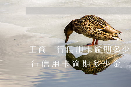 工商銀行信用卡逾期多少金額起訴-工商銀行信用卡逾期多少金額起訴有效