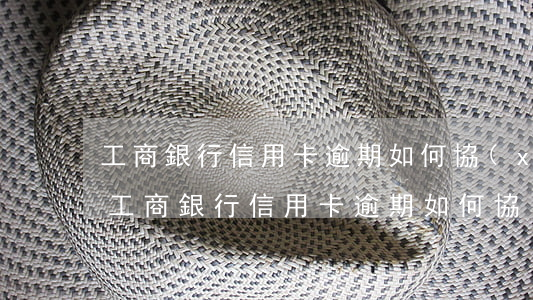 工商銀行信用卡逾期如何協(xié)商-工商銀行信用卡逾期如何協(xié)商分期還款