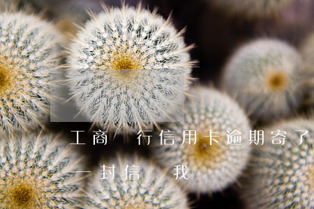 工商銀行信用卡逾期寄了信函(工商銀行寄了一封信給我)