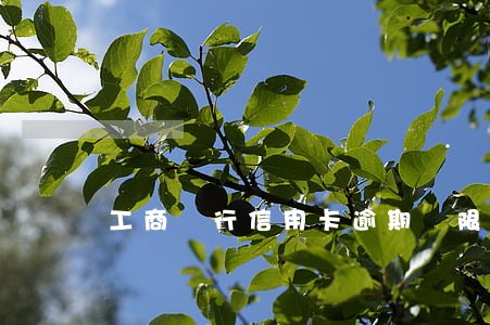 工商銀行信用卡逾期寬限期多久啊