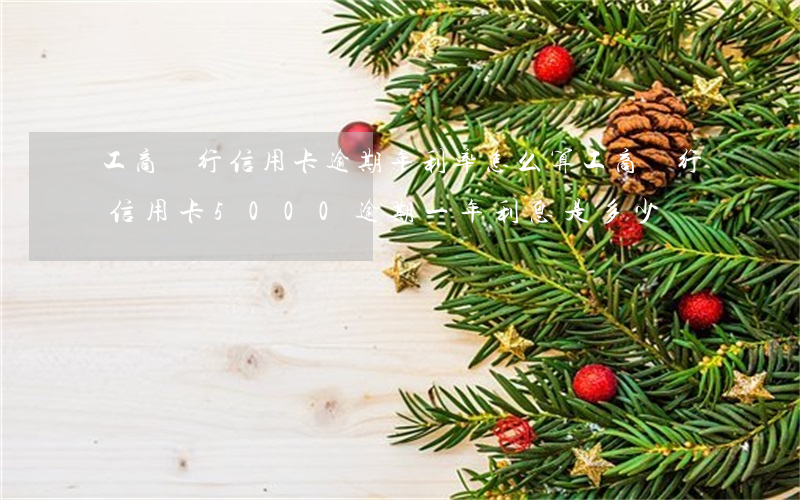 工商銀行信用卡逾期年利率怎么算(工商銀行信用卡5000逾期一年利息是多少)