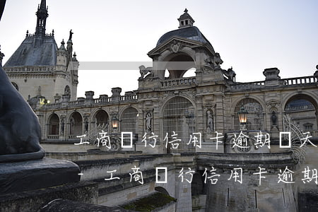 工商銀行信用卡逾期幾天還進去還可以用嗎-工商銀行信用卡逾期幾天還進去還可以用嗎
