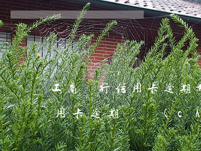 工商銀行信用卡逾期影響大嗎(工商銀行的信用卡逾期會產(chǎn)生什么后果)