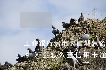 工商銀行信用卡逾期怎么查看-網(wǎng)上怎么查信用卡逾期
