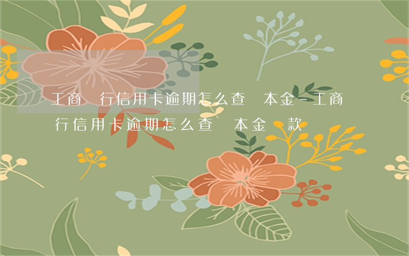工商銀行信用卡逾期怎么查詢本金-工商銀行信用卡逾期怎么查詢本金還款