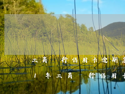 工商銀行信用卡逾期怎么減免利息-2021年工商銀行信用卡逾期新政策