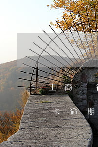 工商銀行信用卡逾期怎么處理(工商銀行信用卡逾期怎么處理最快)