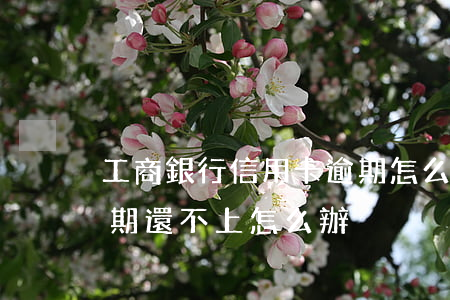 工商銀行信用卡逾期怎么還不了(欠信用卡逾期還不上怎么辦)