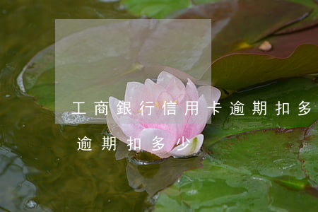 工商銀行信用卡逾期扣多少（工商銀行信用卡逾期扣多少）