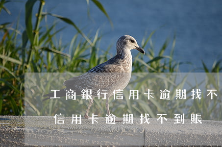 工商銀行信用卡逾期找不到賬戶-工商銀行信用卡逾期找不到賬戶怎么辦