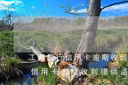 工商銀行信用卡逾期收到律師函-工商銀行信用卡逾期收到律師函怎么辦