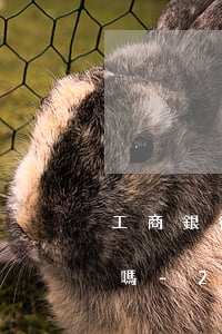 工商銀行信用卡逾期會(huì)提前還款嗎-2020年工行信用卡提前還款最新規(guī)定