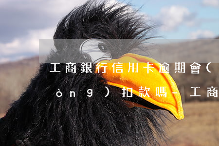 工商銀行信用卡逾期會(huì)自動(dòng)扣款嗎-工商銀行信用卡逾期會(huì)自動(dòng)扣款嗎怎么辦