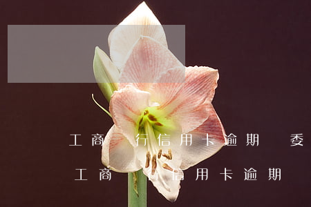 工商銀行信用卡逾期會委托第三方催收嗎-工商銀行信用卡逾期會委托第三方催收嗎