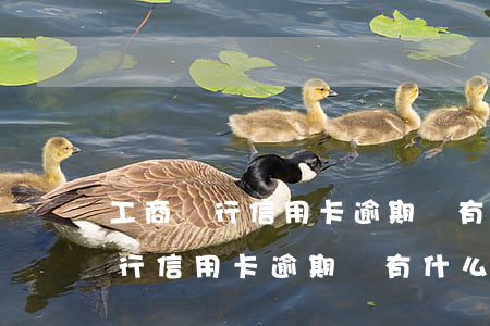 工商銀行信用卡逾期會有什么費用-工商銀行信用卡逾期會有什么費用嗎