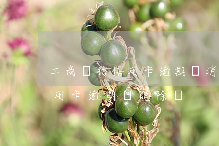 工商銀行信用卡逾期會消除嗎-工商銀行信用卡逾期會消除嗎