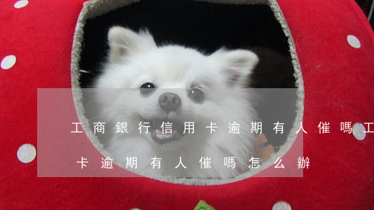 工商銀行信用卡逾期有人催嗎(工商銀行信用卡逾期有人催嗎怎么辦)