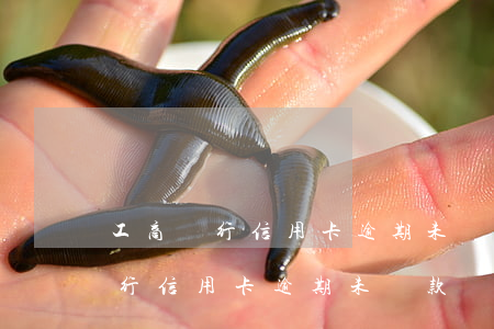 工商銀行信用卡逾期未還款會怎樣-工商銀行信用卡逾期未還款會怎樣處罰
