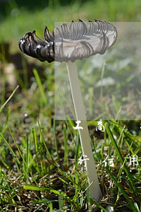 工商銀行信用卡逾期每天都打電話-工商銀行信用卡逾期每天都打電話催收