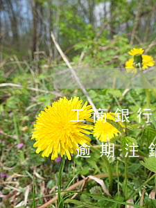 工商銀行信用卡逾期注銷了(工商銀行信用卡逾期注銷了還能恢復嗎)