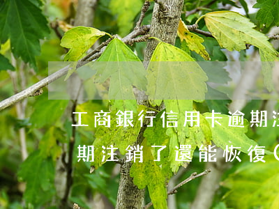 工商銀行信用卡逾期注銷(工商銀行信用卡逾期注銷了還能恢復(fù)嗎)