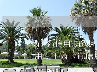 工商銀行信用卡逾期產(chǎn)生哪些費用-工商銀行信用卡逾期產(chǎn)生哪些費用呢