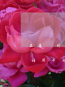 工商銀行信用卡逾期發(fā)涵(工商銀行信用卡逾期被起訴會是什么后果)